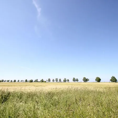 Διαμέρισμα Direkt Am Waldrand Mit Balkon Und In Strandnaehe - Cosmo