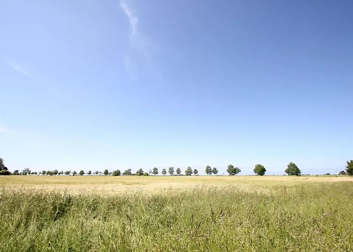 Apartment Direkt Am Waldrand Mit Balkon Und In Strandnaehe - Cosmo