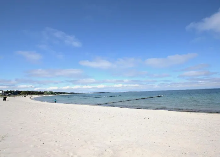 Direkt Am Waldrand Mit Balkon Und In Strandnaehe - Cosmo Apartment