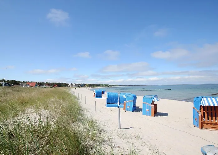Direkt Am Waldrand Mit Balkon Und In Strandnaehe - Cosmo Apartment Glowe